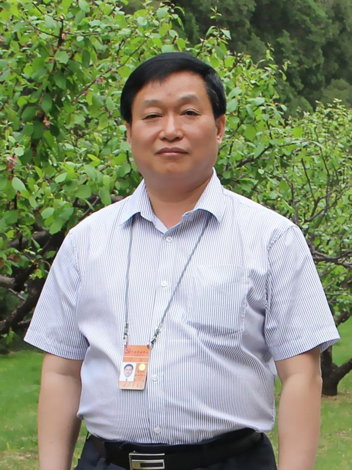 贾英健