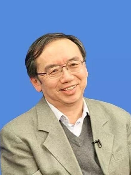 王小鲁